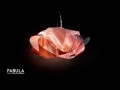 74edc11c7194d6fd0a0e783a2020f2ba