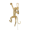 06d01e24-7b02-4abd-b2a9-0bebe6685177.png