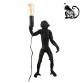 lampara-mono-exotica-de-resina-micu.png