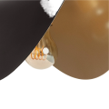 ABR-LW-SES-4.png