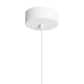 ABR-LWO-RTO-10W-B-5.png