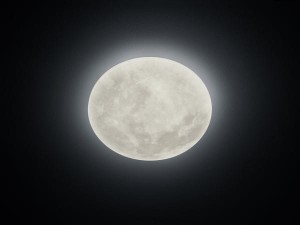 Lampa Sufitowa Ledowa Lunar 627514000 Trio