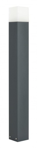 115569
