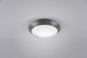 Lampa Zewnętrzna Sufitowa  Camaro R60501042 Rl