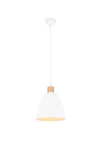 Nowoczesna Lampa Wisząca  Jagger R30681031 Rl