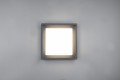 8d45fc29798f2574a5273c6942544809