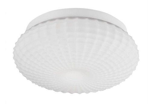 fe718361d95f1c5645030dd24272ae76