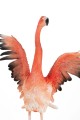 db2b4a2ef7d0bb386613dca972f5a6fb