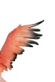 fbde6ee7e66e6238251bc94cb7decdcd
