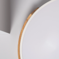 Plafon LED CCT Biały okrągły 36W 50cm 3000-5700k Abruzzo Lagio-close.jpg