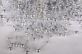 837031b6d34412d5a89168182b6342aa