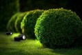 8f12bb7a7bb8fd556ac0672d597d2561